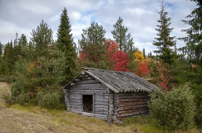 Exploring the Hidden Gem of Finland: Must-Visit Places in Jalasjärvi