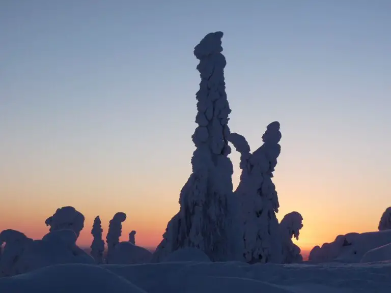 Exploring the Hidden Gems of Saarijärvi: A Must-Visit Destination in Finland