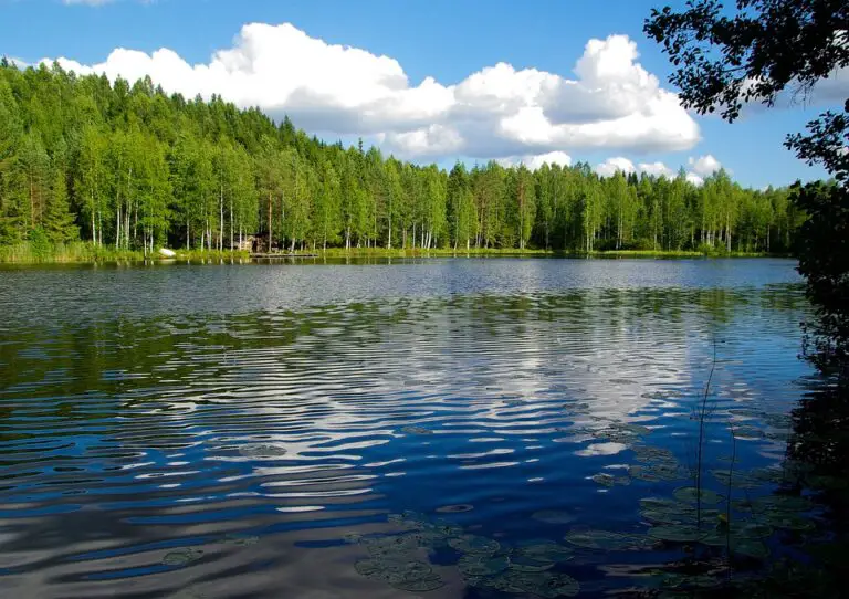 Top 10 Must-Visit Destinations in Muurame, Finland