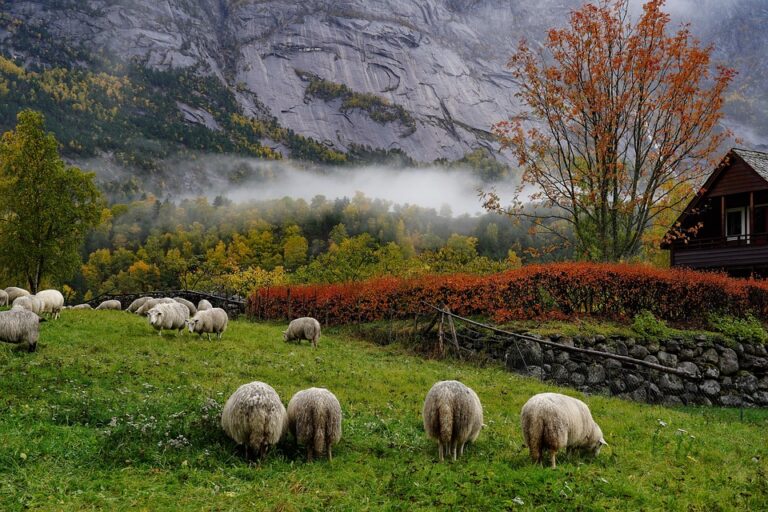 Oppegård, Norway: Experience Authentic Norwegian Lifestyle in a Peaceful Setting