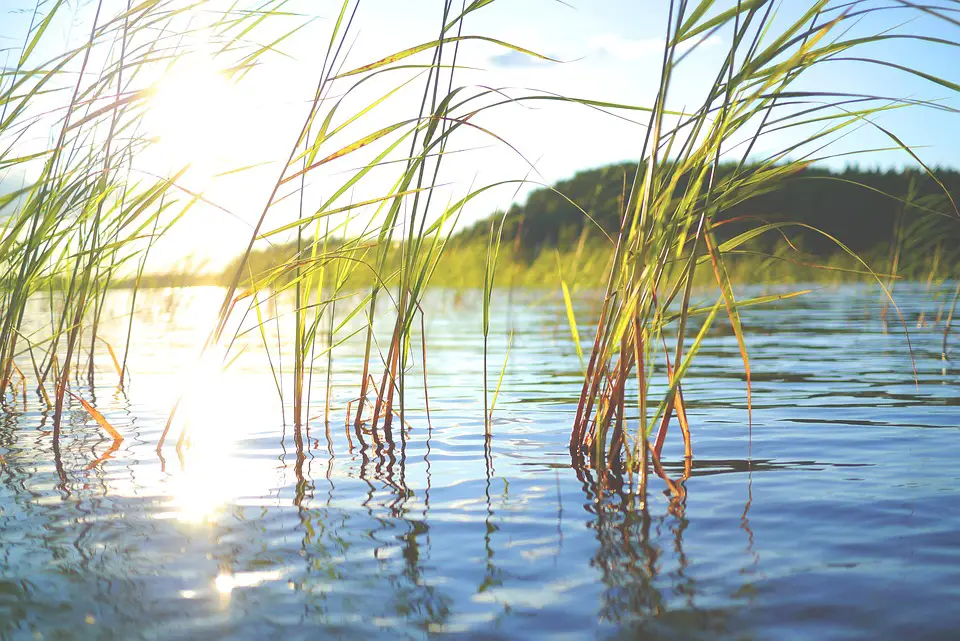 Discover the Hidden Gem of Finland: Exploring Kitee