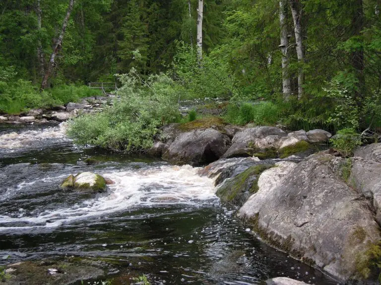 Discover the Hidden Gem: Siuntio – A Must-Visit Destination in Finland