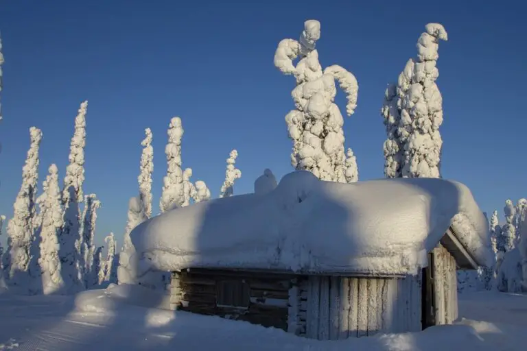 Exploring the Hidden Gem of Finland: Mänttä’s Top Attractions Revealed