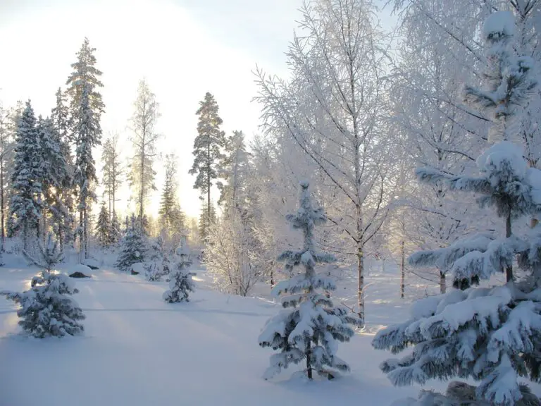 Exploring the Enchanting Beauty of Kaarina, Finland: Top Places to Visit