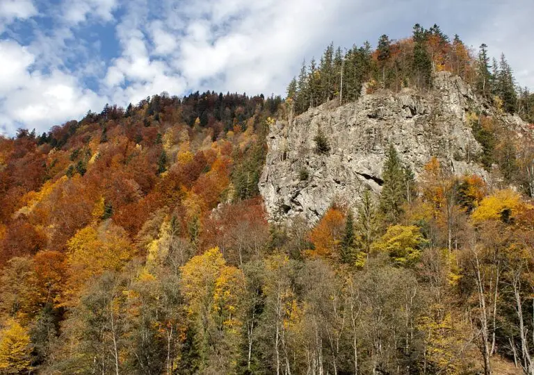 Exploring the Hidden Gems of Comarnic, Romania: Must-See Places for Travelers