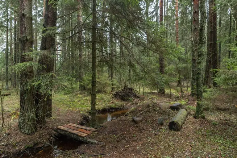Exploring the Hidden Gem of Dalsbruk: A Must-Visit Destination in Finland