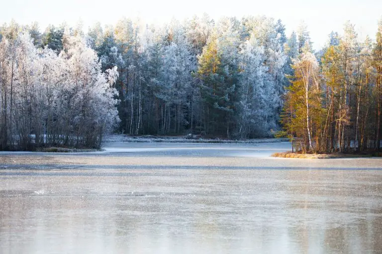 Exploring the Hidden Gem of Finland: Nummela