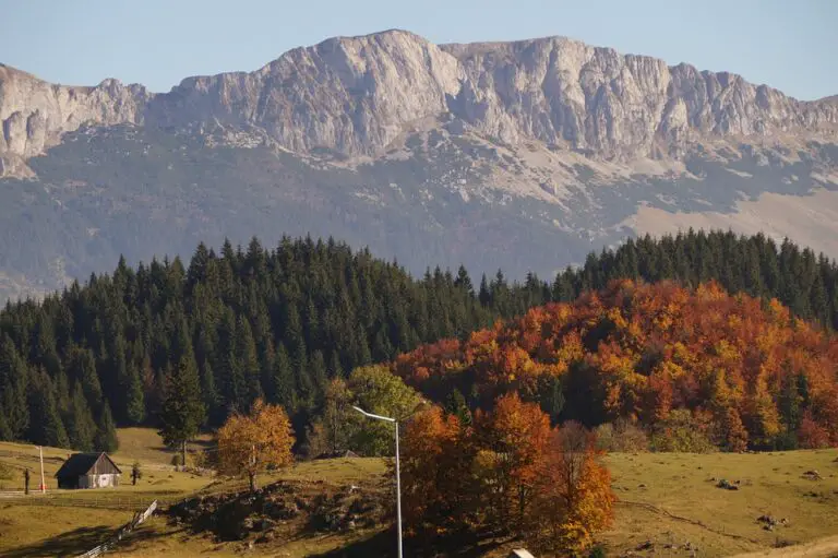 Exploring the Hidden Beauty of Tamaşi: A Gem in Romania