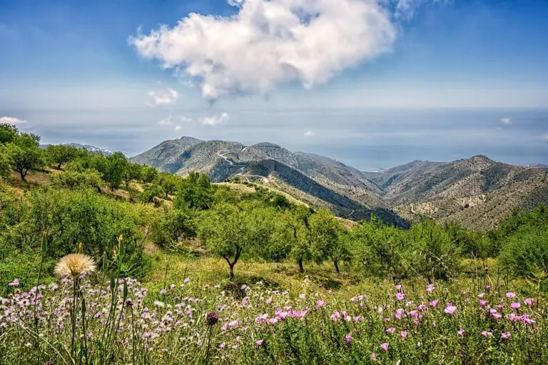 Explore the Hidden Paradise: Best Places to Visit in Bigastro, Spain