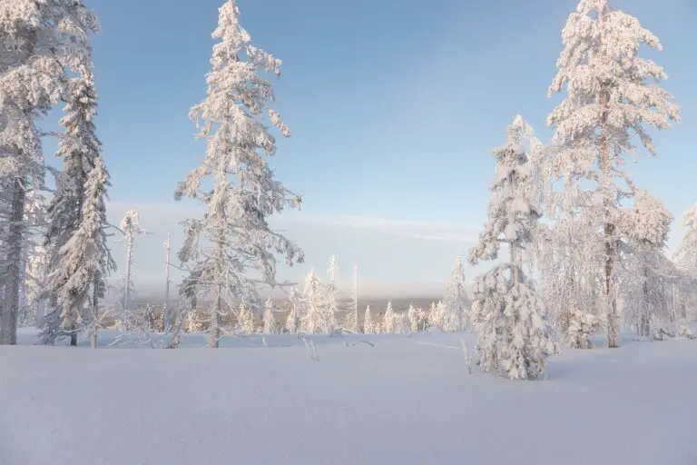Exploring the Enchanting Attractions of Jomala: A Hidden Gem in Finland